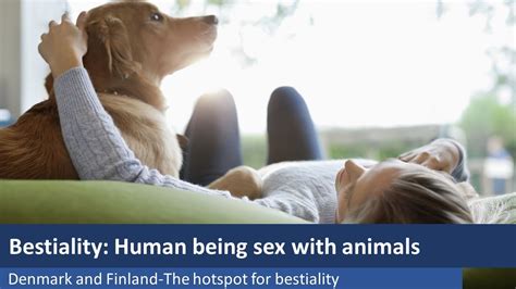 bestality|Beastiality porn